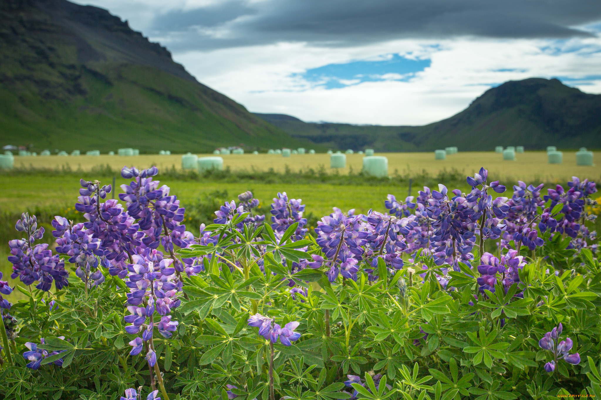 iceland, , , , , 